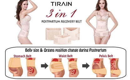 3-in-1 Abdominal & Back Support Belt - Zambeel